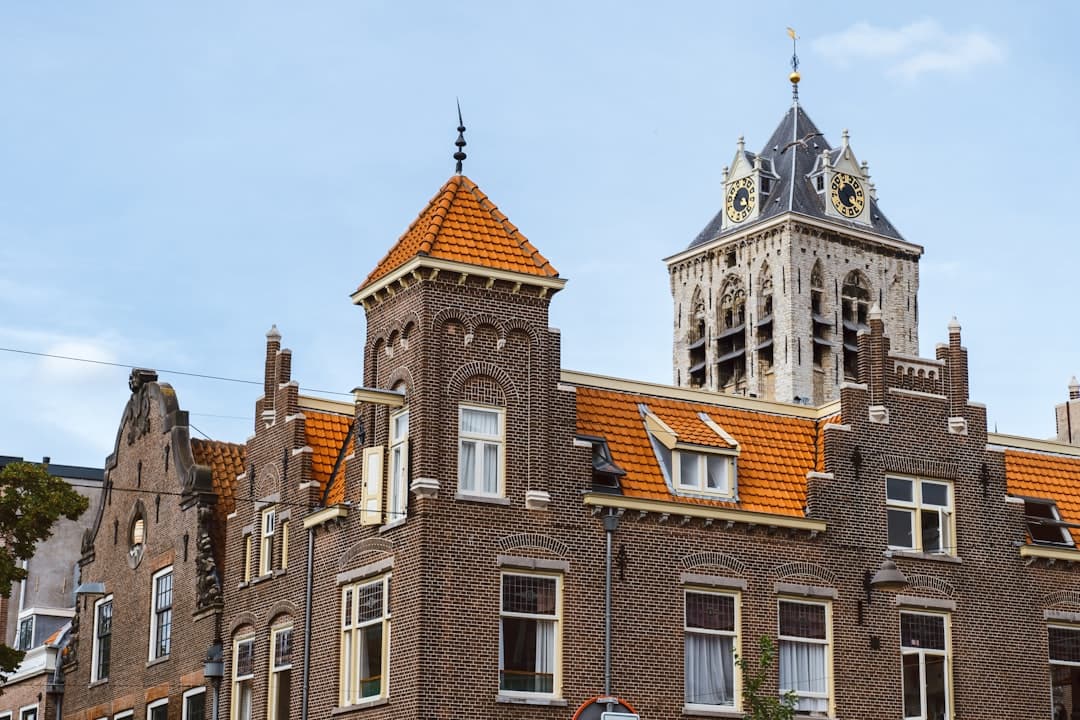 Study in Netherlands